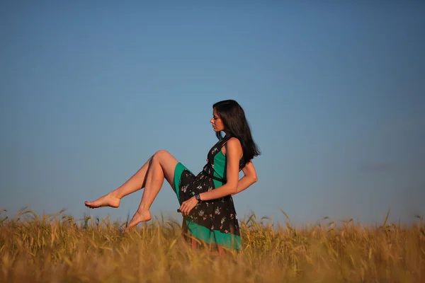 Schönes Mädchen mit einem Hocker auf dem Feld — Stockfoto