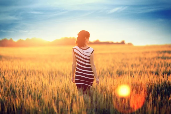 Beautiful girl in sunset field — Stock Photo, Image