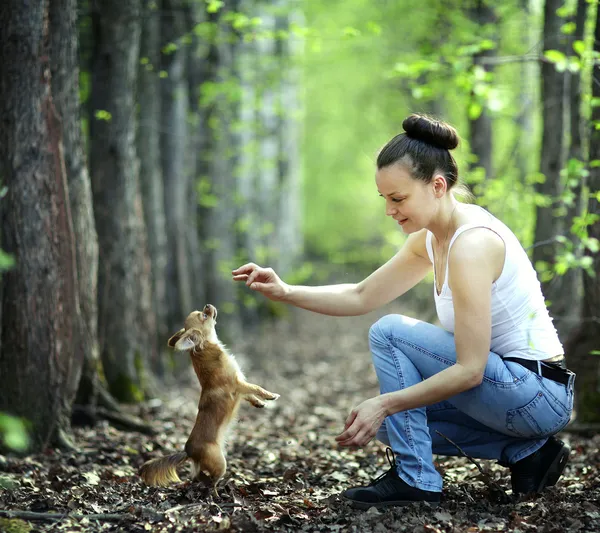 Женщина играет с маленькой собачкой — стоковое фото