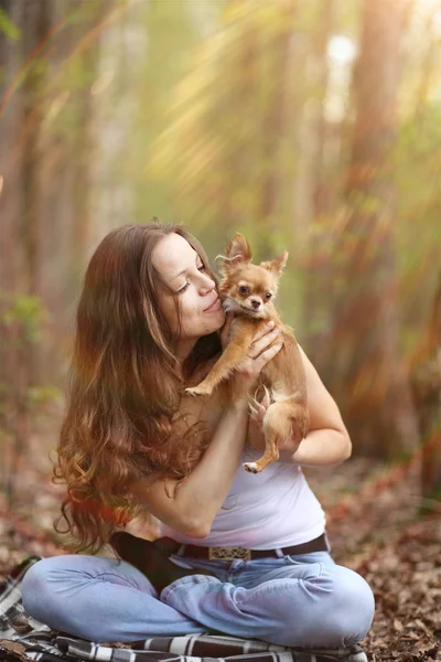 Woman playing with a small dog — Stock Photo, Image