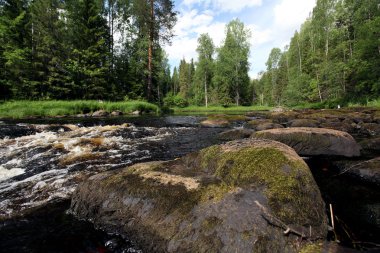 büyük taş olan bir ormandaki nehir