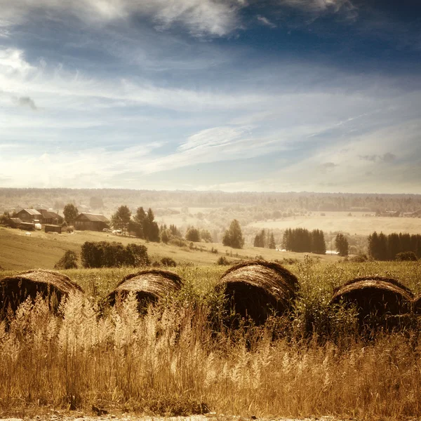 Heuballen auf einem Feld — Stockfoto