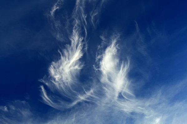 Sky cumulus clouds — Stock Photo, Image