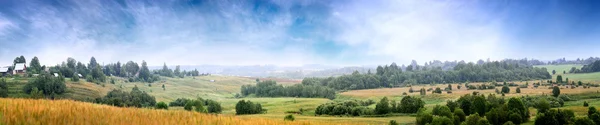 Panorama com floresta e campo — Fotografia de Stock