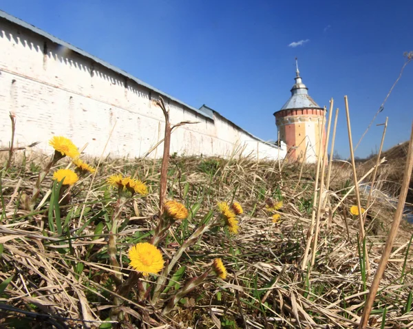 Blumen und die Kirche — Stockfoto