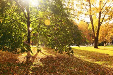 Sonbahar Parkı