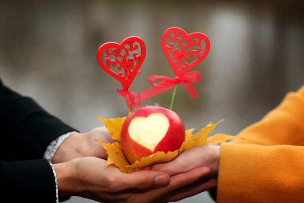 Liefhebbers, picknickmand. — Stockfoto