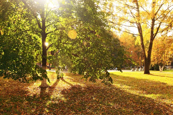 Jesienny park — Zdjęcie stockowe