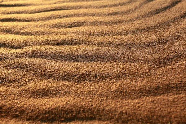Desert sand texture background — Stock Photo, Image