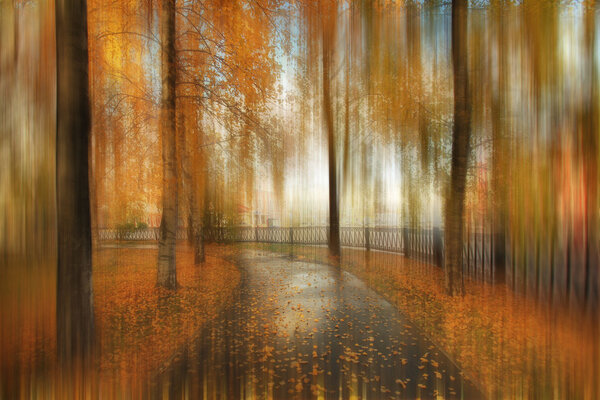Abstract blurred autumn landscape