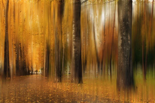 Niewyraźne jesień krajobraz — Zdjęcie stockowe