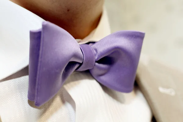 The bow tie — Stock Photo, Image