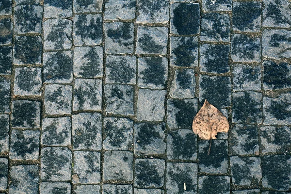 Paving stone — Stock Image Paving stone Royalty Free Stock Photos