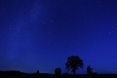 Gece yalnız ağaç düşüyor yıldız