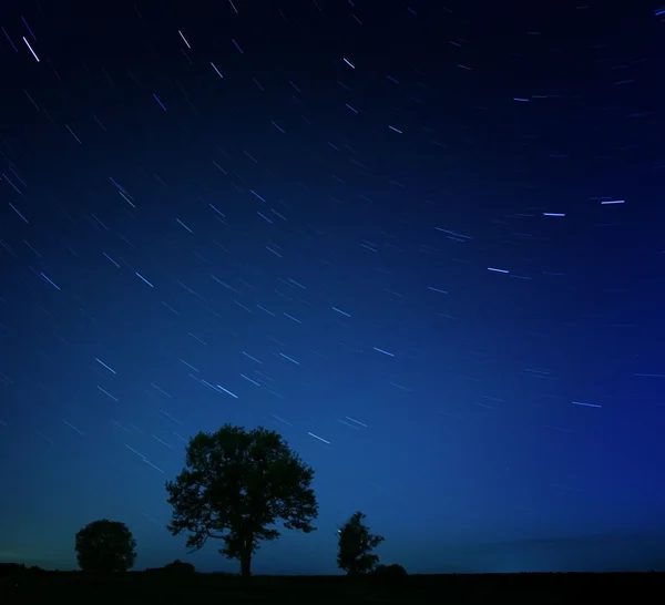 Gece yalnız ağaç — Stok fotoğraf