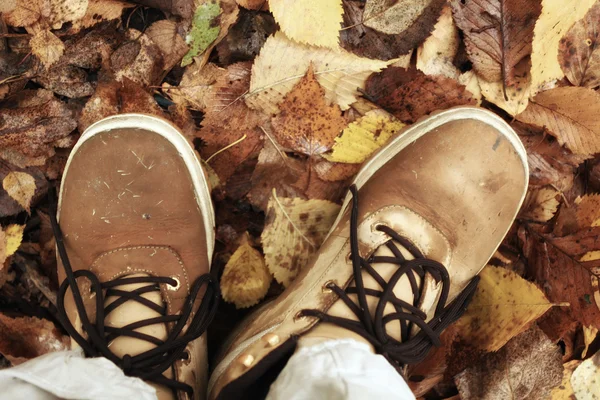 Pieds chaussures feuilles d'automne — Photo