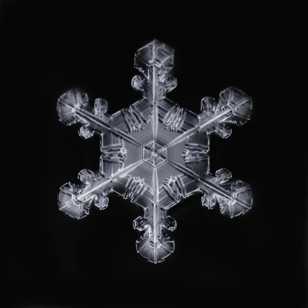 Sneeuwvlok geïsoleerd — Stockfoto