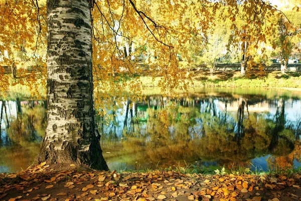 Autumn at the pond park — Stock Photo, Image