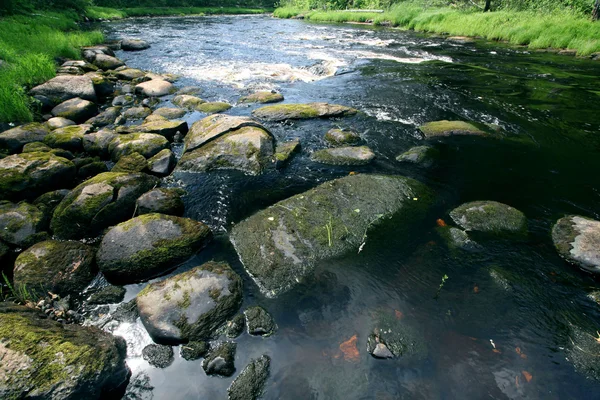 Камені в гірській річці — стокове фото