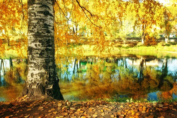 Осінь біля парку ставок — стокове фото