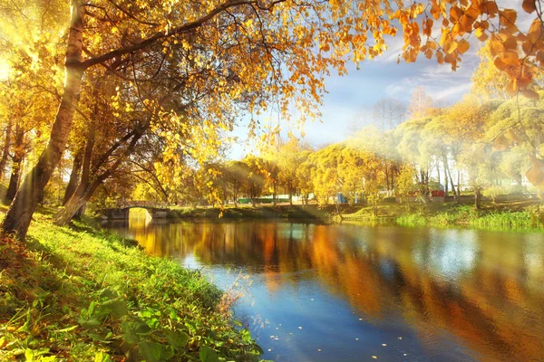 Podzim v parku rybník — Stock fotografie