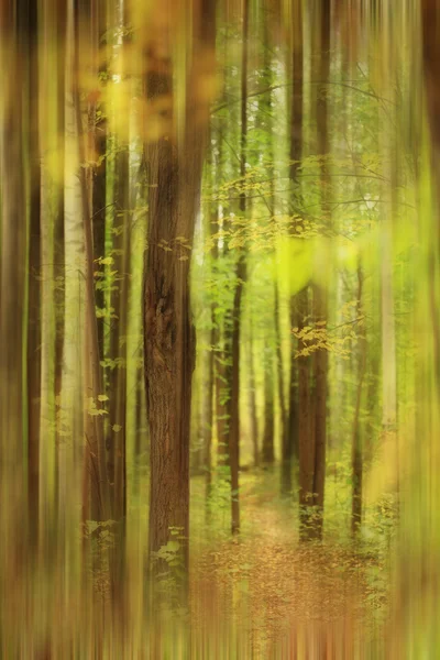 Floresta de outono desfocada — Fotografia de Stock