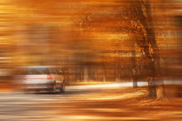 汽车在秋天的树林 — 图库照片