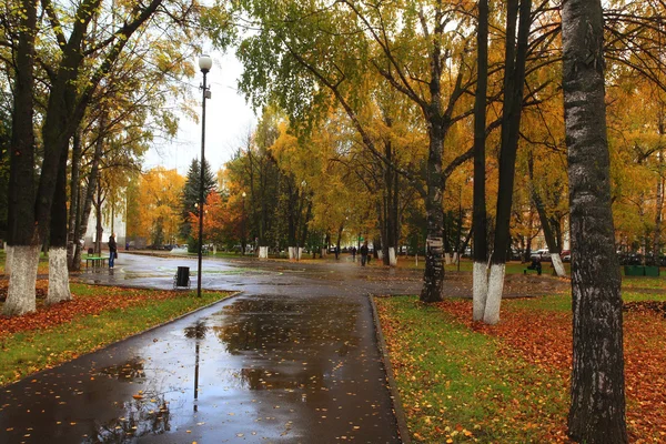 Осенний парк с желтыми листьями — стоковое фото