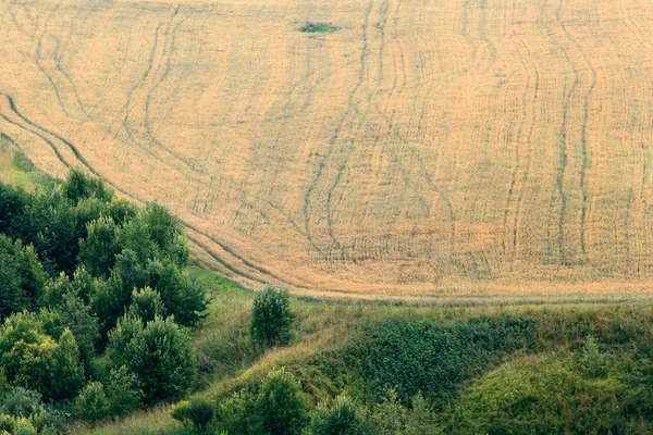 Letní krajina na venkově — Stock fotografie