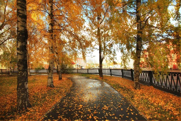 Jesienny park z żółtymi liśćmi — Zdjęcie stockowe