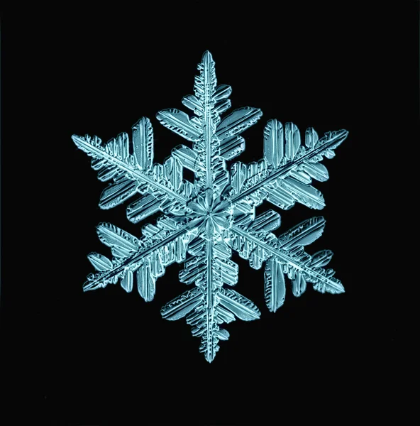 Snowflake isolated — Stock Photo, Image