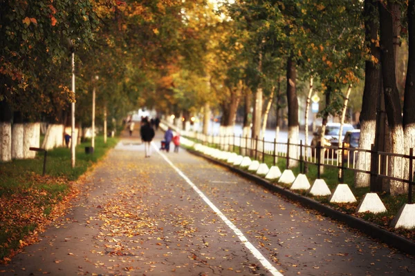 Herbstallee in der Stadt — Stockfoto
