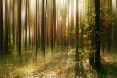 Sonbahar manzara bulanık