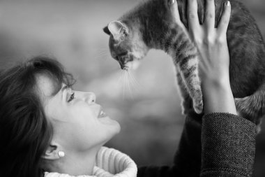 bir yavru kedi kız