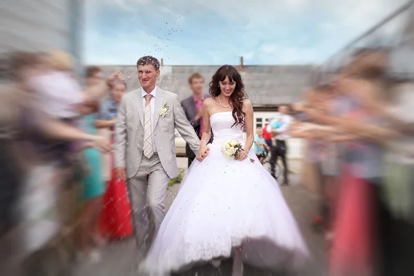 Bride and groom — Stock Photo, Image