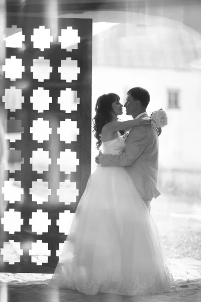 Novia y novio en la boda — Foto de Stock