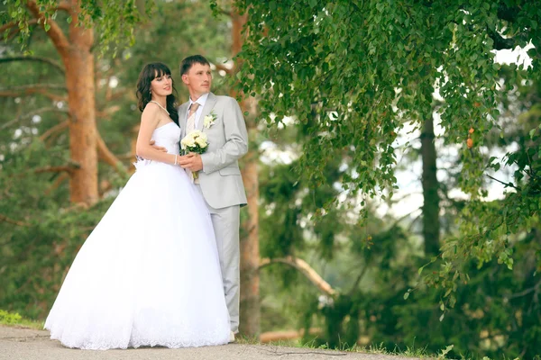 Braut und Bräutigam bei der Hochzeit — Stockfoto