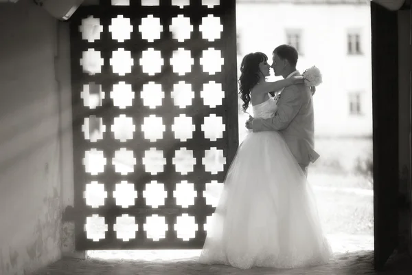 Novia y novio en la boda — Foto de Stock