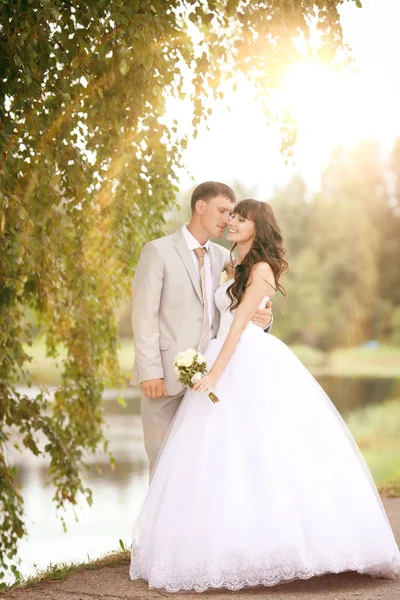 Novia y novio en la boda — Foto de Stock