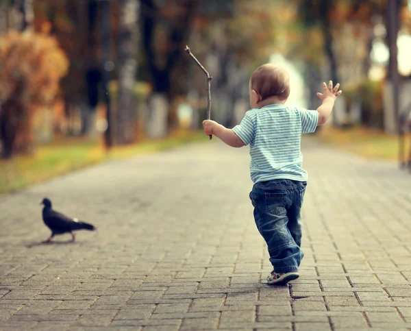 Cheerful little boy in the park — Stock Photo, Image