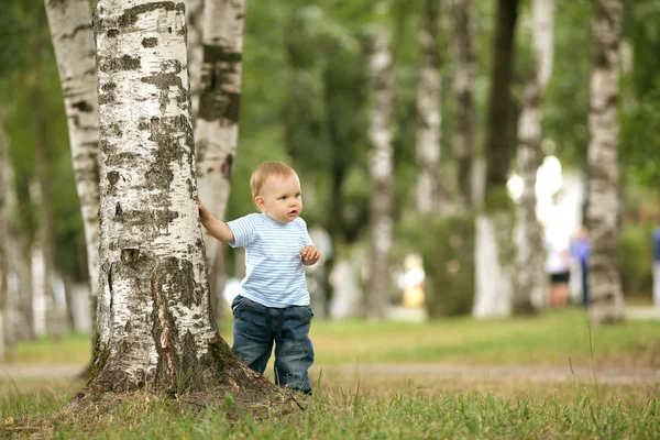 Веселый маленький мальчик в парке — стоковое фото
