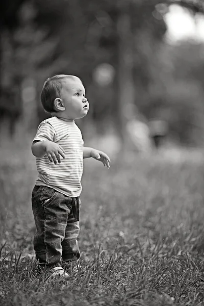 Portrait of a little boy — Stock Photo, Image