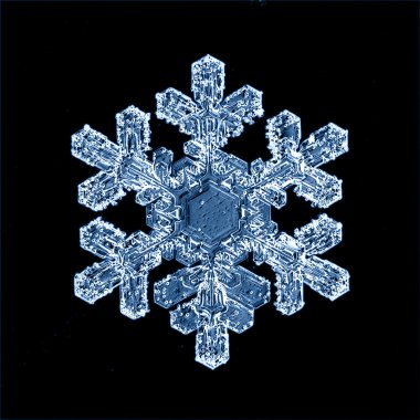 Snowflake ice crystals clipart