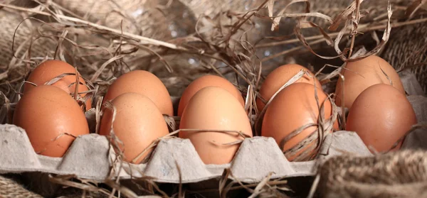 Chicken eggs — Stock Photo, Image