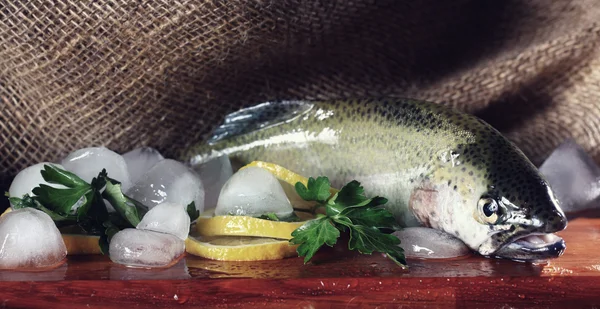 Fresh trout — Stock Photo, Image