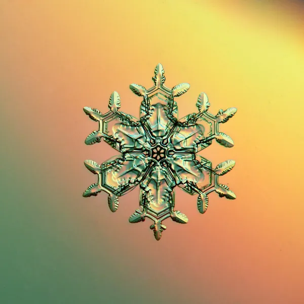 Cristales de hielo de copo de nieve — Foto de Stock