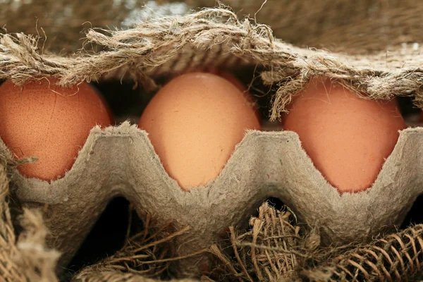 Αυγά κότας — Φωτογραφία Αρχείου