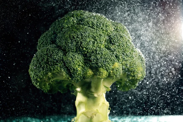 Broccoli — Stock Photo, Image