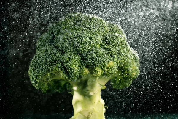 Broccoli — Stock Photo, Image