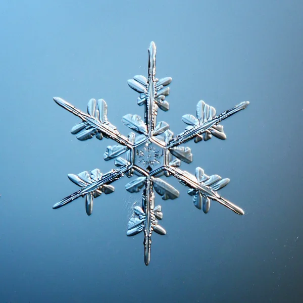 Snowflake ice crystals — Stock Photo, Image